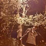 ���������� �����������, ���� ����� ����, 21 ���, ������������ ��� ������, ����� � ���������, c�������� ���������