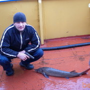 ���������� ����������, ���� ������� �����, 36 ���, ������������ ��� ������, ����� � ���������, c�������� ���������