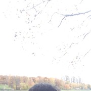 ���������� ������������, ���� ������� Dilshod, 37 ���, ������������ ��� ������, ����� � ���������, c�������� ���������