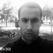 ���������� ���������� �����, ������� �����, 33