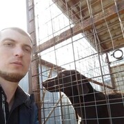 ���������� ������, ���� ������� ���������, 35 ���, ������������ ��� ������, ����� � ���������, ���������