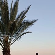 ���������� �����-���������, ���� ������� ����, 28 ���, ������������ ��� ������, ����� � ���������, c�������� ���������