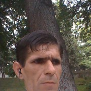  ,   Vitiya, 43 ,   ,   , c 