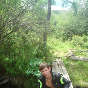  -,   , 36 ,   ,   , c 