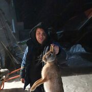 ���������� ������, ���� ������� ������, 37 ���, ������������ ��� ������, ����� � ���������, c�������� ���������, ���������