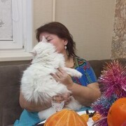  ,   , 54 ,   ,   