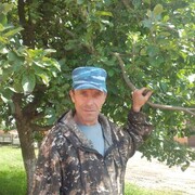  ,   , 52 ,   ,   