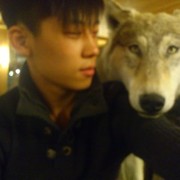 ���������� ������, ���� ������� ���� ���, 36 ���, ������������ ��� ������