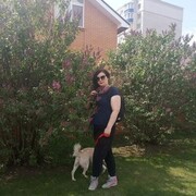  ,   Ruda, 43 ,     , c 
