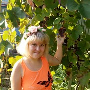 ���������� ������ ��������, ���� ������� ����, 29 ���, ������������ ��� ������, ����� � ���������, c�������� ���������