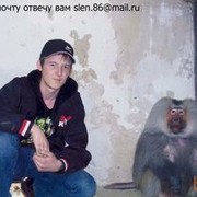  ,   Damir, 39 ,   ,   , c 