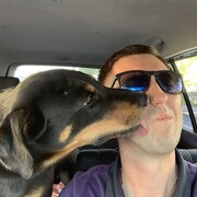 ���������� ������, ���� ������� ������, 36 ���, ������������ ��� ������, ����� � ���������, c�������� ���������