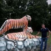 ���������� �����������, ���� ������� ����, 33 ����, ������������ ��� ������, ����� � ���������, c�������� ���������