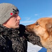 ���������� ������, ���� ������� �����, 38 ���, ������������ ��� ����� � ���������, c�������� ���������