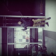 ���������� �����-���������, ���� ������� ASAD, 33 ����, ������������ ��� ����� � ���������, c�������� ���������