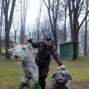 ���������� �������, ���� ������� ����, 36 ���, ������������ ��� ������, ����� � ���������, c�������� ���������, ���������