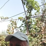  ,   , 68 ,   ,   