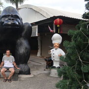 ���������� ������, ���� ������� �����, 67 ���, ������������ ��� ������, ����� � ���������