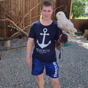 ���������� �����������, ���� ������� ������, 38 ���, ������������ ��� ������, ����� � ���������, c�������� ���������