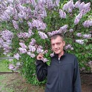 ���������� ���������, ���� ������� �����, 38 ���, ������������ ��� ������, ����� � ���������, c�������� ���������