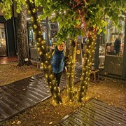 ���������� ��������, ���� ������� ������, 42 ����, ������������ ��� c�������� ���������