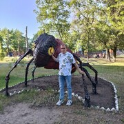 ���������� �������, ���� ������� �������, 29 ���, ������������ ��� ������, ����� � ���������, ���������