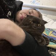 ���������� ����, ���� ������� ������, 26 ���, ������������ ��� ������, ����� � ���������, ���������