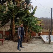  ,   Ramin, 43 ,   ,   , c , 