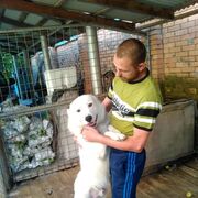 ���������� ������, ���� ������� ������, 46 ���, ������������ ��� ������, ����� � ���������