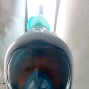 ���������� �����, ���� ������� ������, 42 ����, ������������ ��� ����� � ���������, c�������� ���������