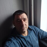  Novy,   , 43 ,   ,   