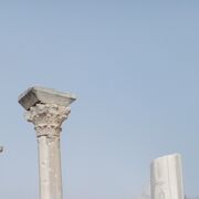 ���������� �����������, ���� ������� ��, 36 ���, ������������ ��� ������, ����� � ���������, c�������� ���������, ���������