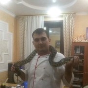 ���������� �������, ���� ������� Hayit, 34 ����, ������������ ��� ������, ����� � ���������, c�������� ���������