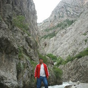 ���������� ������, ���� ������� �����, 40 ���, ������������ ��� ������