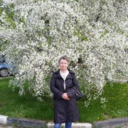 ���������� ��������, ���� ������� �����, 58 ���, ������������ ��� ����� � ���������, c�������� ���������