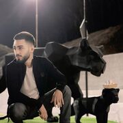 ���������� ���������, ���� ����� Artur, 24 ����, ������������ ��� c�������� ���������, ���������