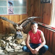 ���������� ������, ���� ������� �����, 37 ���, ������������ ��� ������, ����� � ���������