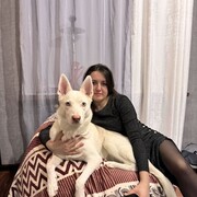 ���������� �������, ���� ������� ������, 28 ���, ������������ 