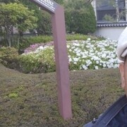 ���������� ������, ���� ������� �����, 47 ���, ������������ ��� ������, ����� � ���������