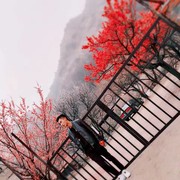  Qingdao,   , 30 ,   ,   , c 