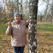 ���������� �������, ���� ������� �����, 65 ���, ������������ ��� ����� � ���������, c�������� ���������