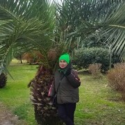 ���������� ������������, ���� ������� ������, 65 ���, ������������ ��� ������, ����� � ���������