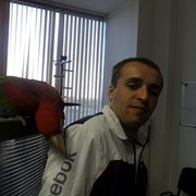 ���������� ������, ���� ������� ���, 41 ���, ������������ ��� ������, ����� � ���������, c�������� ���������