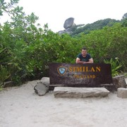 ���������� ������, ���� ������� ����, 39 ���, ������������ ��� ����� � ���������, c�������� ���������