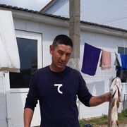  ,   , 44 ,     