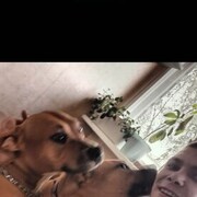 ���������� �����-���������, ���� ������� ���������, 30 ���, ������������ ��� ������, ����� � ���������