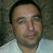  ,  Kot, 51