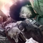 ���������� �����-���������, ���� ������� Axmedov, 32 ����, ������������ ��� ������, ����� � ���������