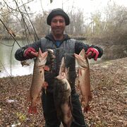  ,   Vladislav, 45 ,   ,   