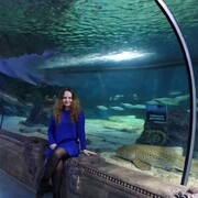 ���������� ������, ���� ������� �����, 44 ����, ������������ ��� c�������� ���������